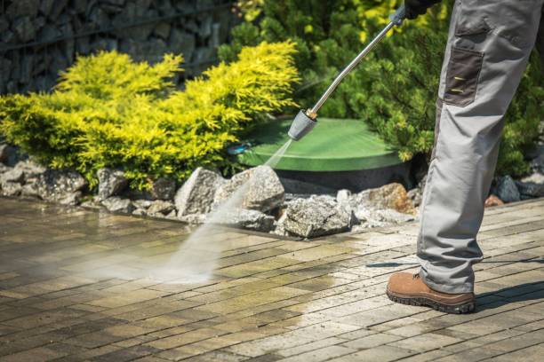 Best House Exterior Washing  in Burgaw, NC