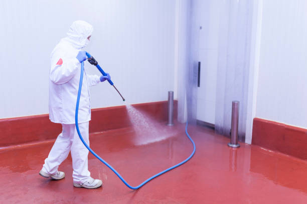 Trusted Burgaw, NC Pressure Washing Services Experts